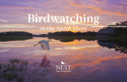 Birdwatching in the North Shore